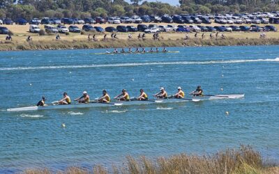 Endurance sport fuelling